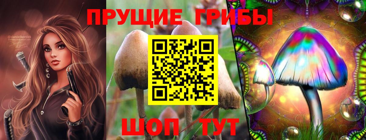 Галлюциногенные грибы прущие грибы  Псилоцибиновые грибы ЛСД  Россошь  купить наркотики цена  Вход с VPN 
